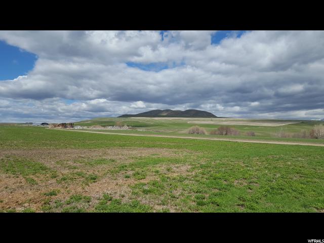Newton, UT 84327 — photo 5