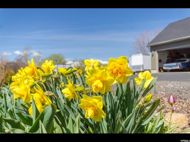 8871 S 100 E, Paradise, UT 84328 — photo 4