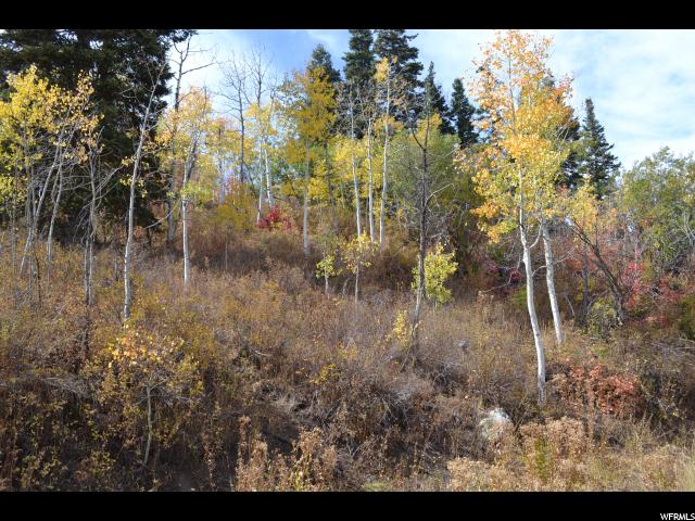 2278 Forest Meadow Rd #116, Wanship, UT 84017 — photo 4