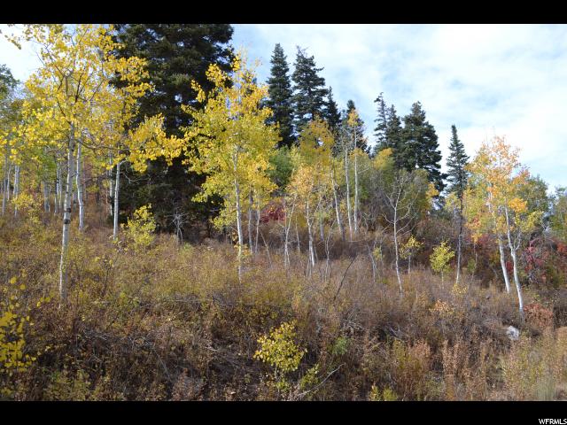 2278 Forest Meadow Rd #116, Wanship, UT 84017 — photo 3