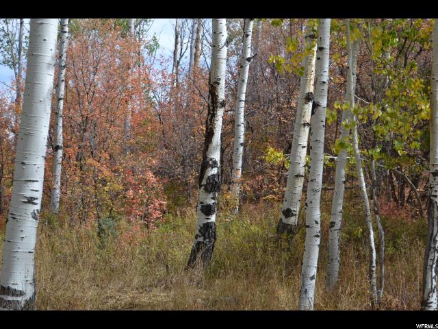 2278 Forest Meadow Rd #116, Wanship, UT 84017 — photo 8