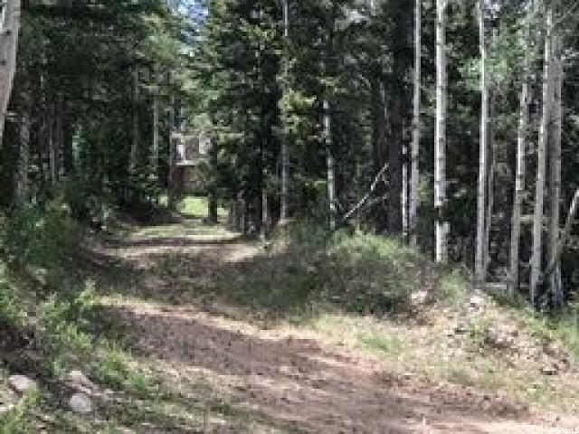Tabiona, UT 84072 — photo 3