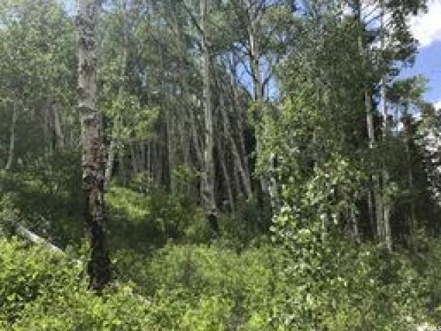 Tabiona, UT 84072 — photo 2