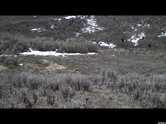 #53, Woodland, UT 84036 — photo 12