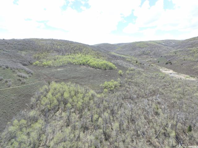 #51, Woodland, UT 84036 — photo 4