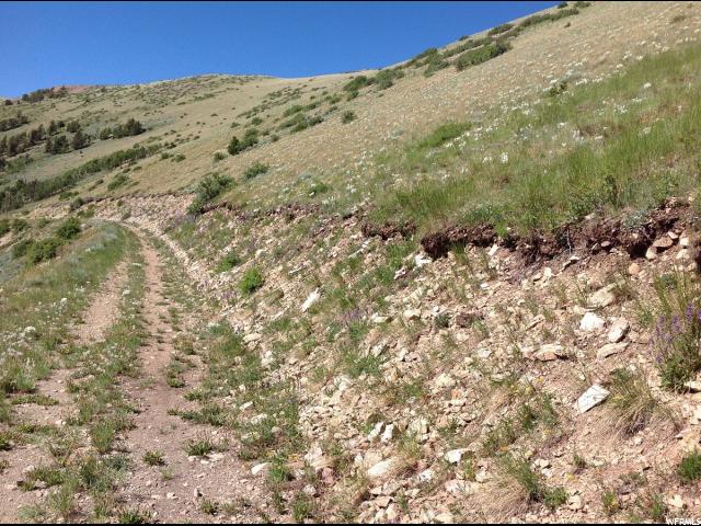 Torrey, UT 84775 — photo 6