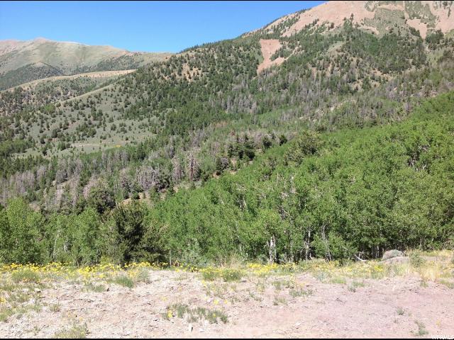 Torrey, UT 84775 — photo 2