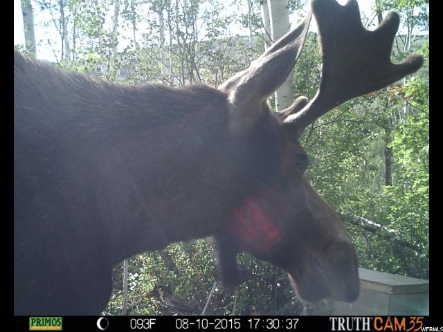 #75, Woodland, UT 84036 — photo 5