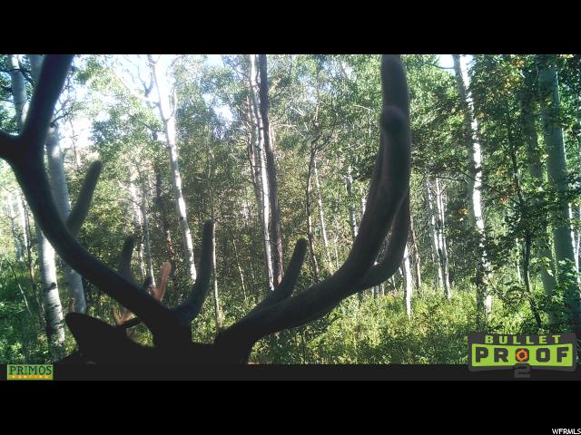 #74, Woodland, UT 84036 — photo 3