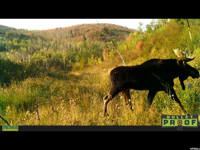 #74, Woodland, UT 84036 — photo 4