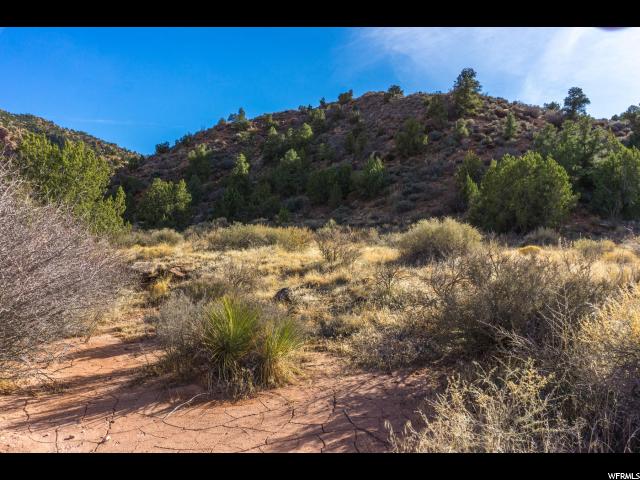 #21, Springdale, UT 84767 — photo 3