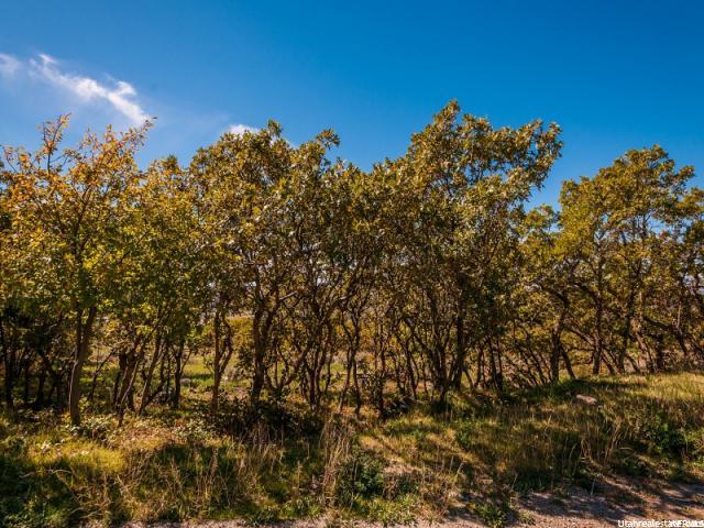 5973 S Spring Cyn E #28, Uintah, UT 84403 — photo 11