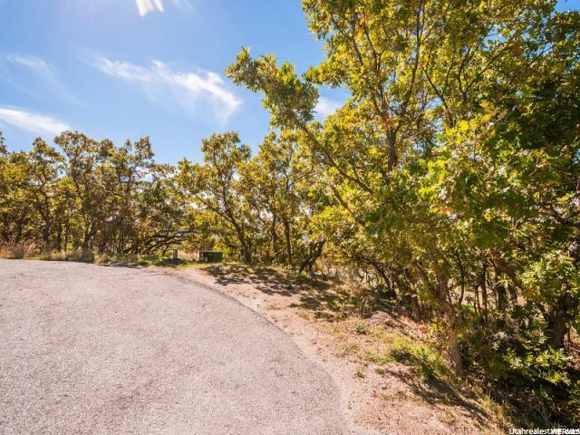 5973 S Spring Cyn E #28, Uintah, UT 84403 — photo 3