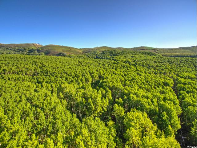 2244 W Boulder Dr #70, Midway, UT 84049 — photo 4
