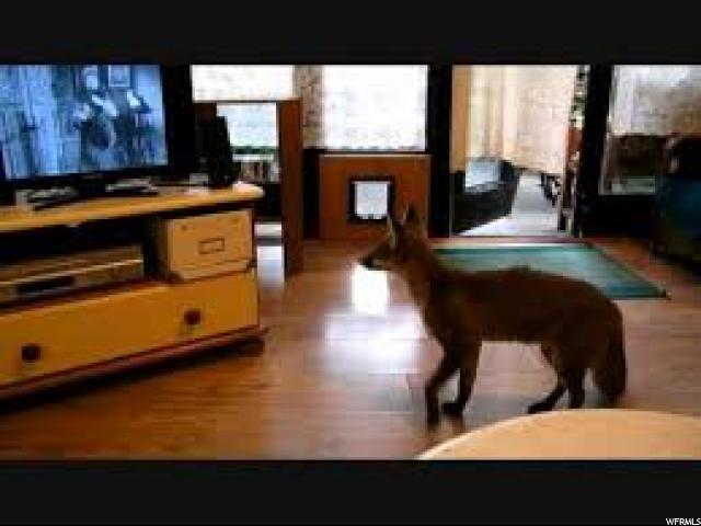 4245 S 2075 W, Roy, UT 84067 — photo 6