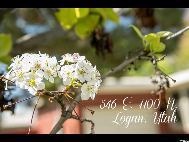 546 E 1100 N, Logan, UT 84341 — photo 3