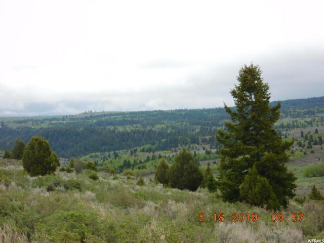 #11, Bancroft, ID 83217 — photo 10
