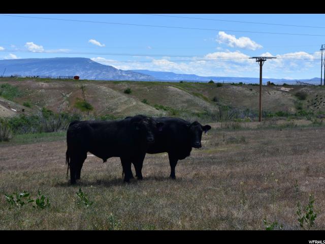 3876 E Goose Ranch Rd, Vernal, UT 84078 — photo 4