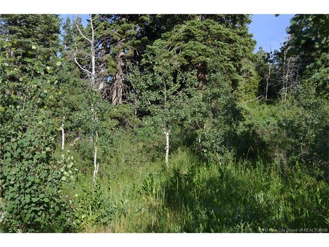 1113 Maple Rd, Wanship, UT 84017 — photo 7