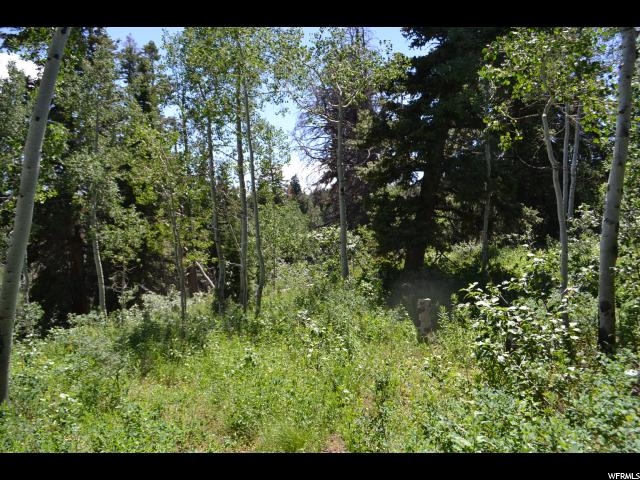 1113 Maple Rd, Wanship, UT 84017 — photo 5