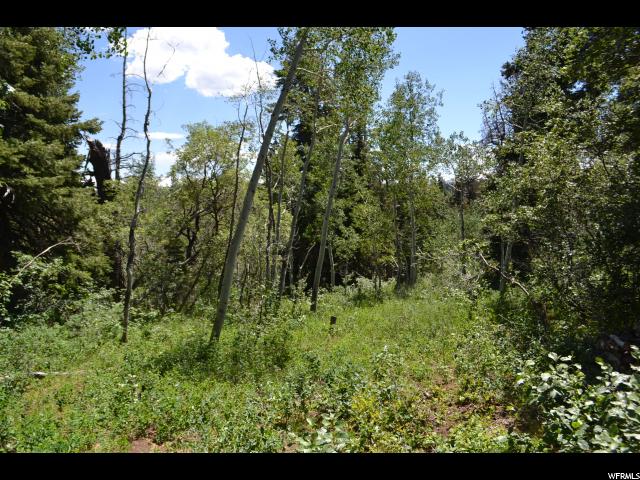 1113 Maple Rd, Wanship, UT 84017 — photo 4