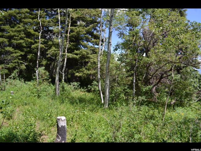 1113 Maple Rd, Wanship, UT 84017 — photo 6