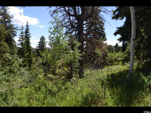 1113 Maple Rd, Wanship, UT 84017 — photo 3