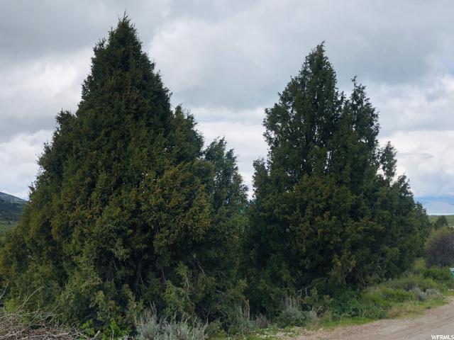 775 S Juniper #E27, Garden City, UT 84028 — photo 7