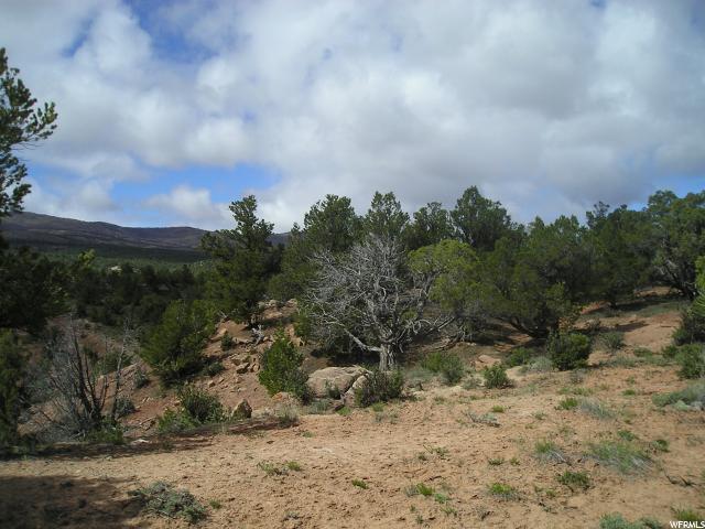 #97, Fruitland, UT 84027 — photo 4