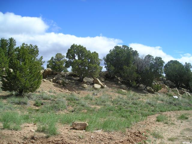 #97, Fruitland, UT 84027 — photo 8