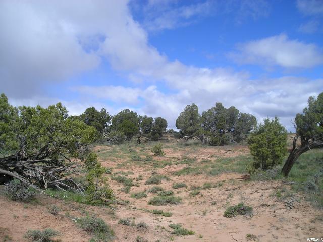 #97, Fruitland, UT 84027 — photo 6