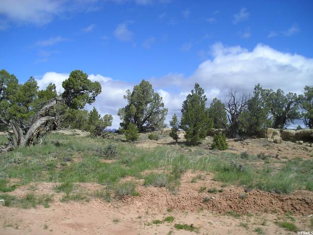 #97, Fruitland, UT 84027 — photo 10