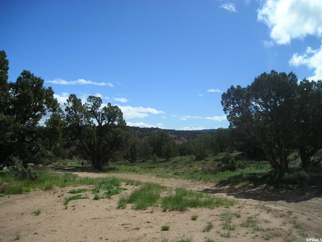 #97, Fruitland, UT 84027 — photo 12