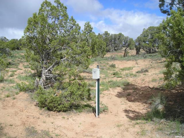 #97, Fruitland, UT 84027 — photo 3