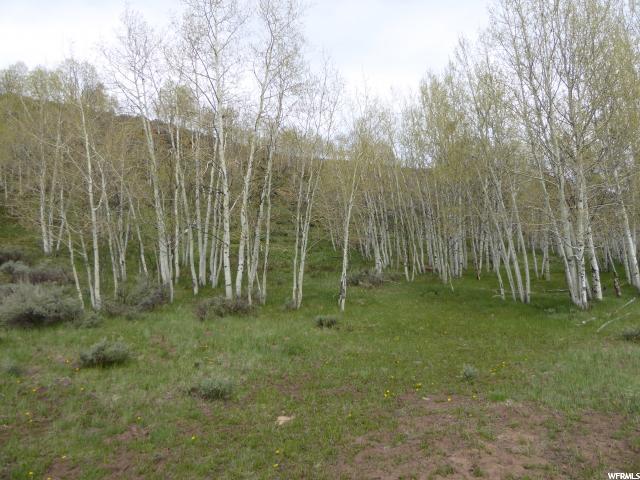 #04, Scofield, UT 84526 — photo 8