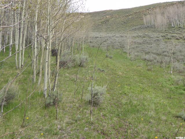 #04, Scofield, UT 84526 — photo 5