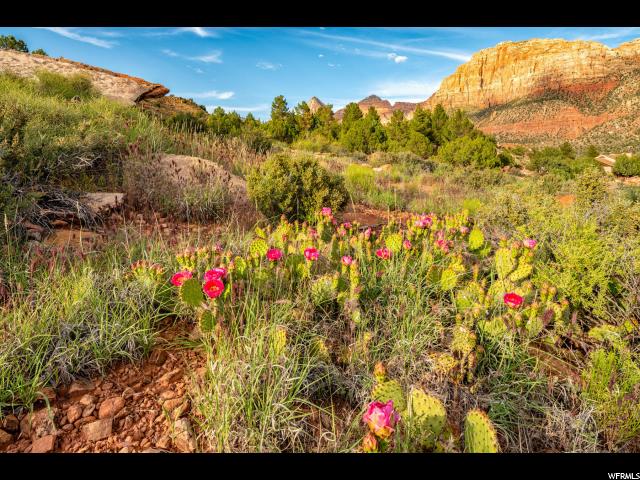 #1, Springdale, UT 84767 — photo 2
