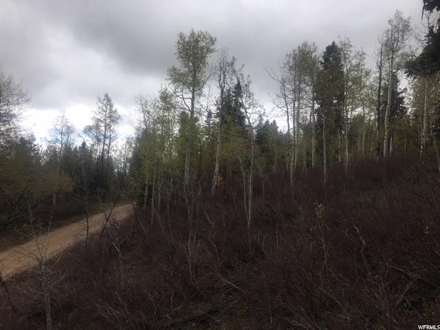 573 Forgotten Ln, Wanship, UT 84017 — photo 6