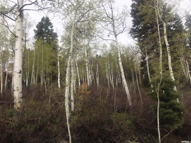 573 Forgotten Ln, Wanship, UT 84017 — photo 4