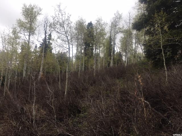 573 Forgotten Ln, Wanship, UT 84017 — photo 5