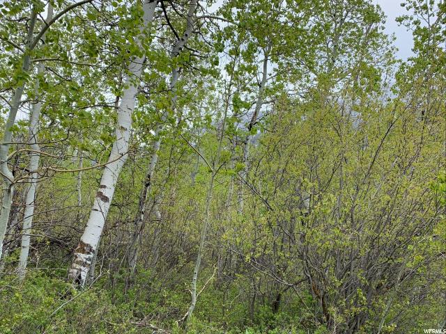 6681 E Orange Rock Rd #69, Oakley, UT 84055 — photo 11