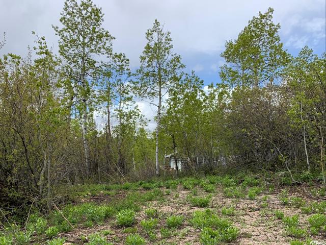 6681 E Orange Rock Rd #69, Oakley, UT 84055 — photo 12