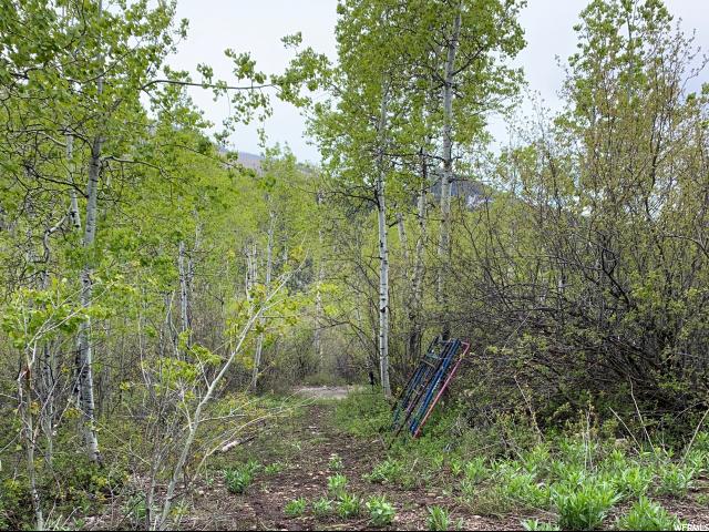 6681 E Orange Rock Rd #69, Oakley, UT 84055 — photo 9