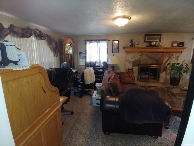 100 E Cememtery Ln, Mona, UT 84645 — photo 10