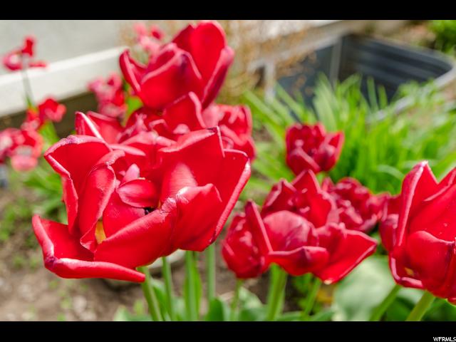 175 W Center, Mendon, UT 84325 — photo 12