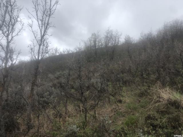 #114, Huntsville, UT 84317 — photo 3