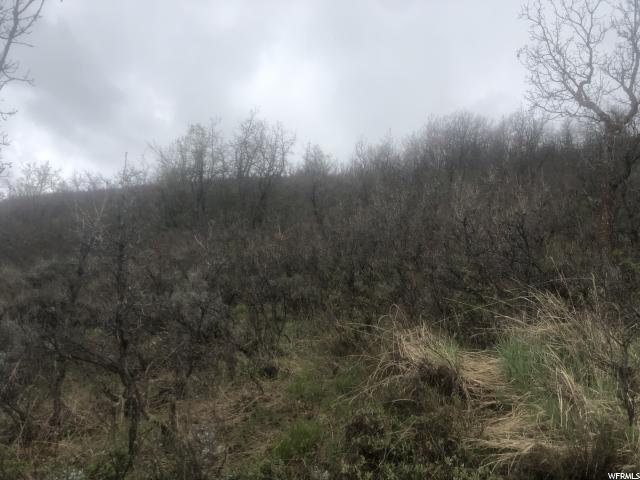 #114, Huntsville, UT 84317 — photo 4