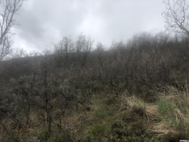 #114, Huntsville, UT 84317 — photo 5