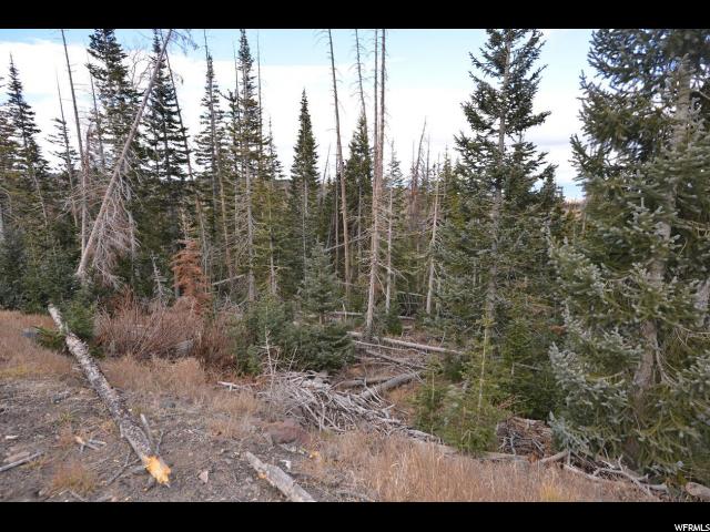 703 S Snowflake Ln, Brian Head, UT 84719 — photo 4