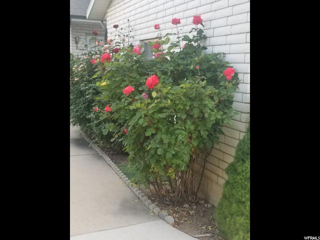 431 W 120 N, Orem, UT 84057 — photo 11